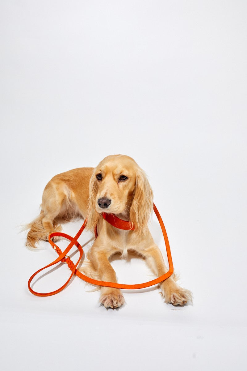 Butter soft leather leashes best sale