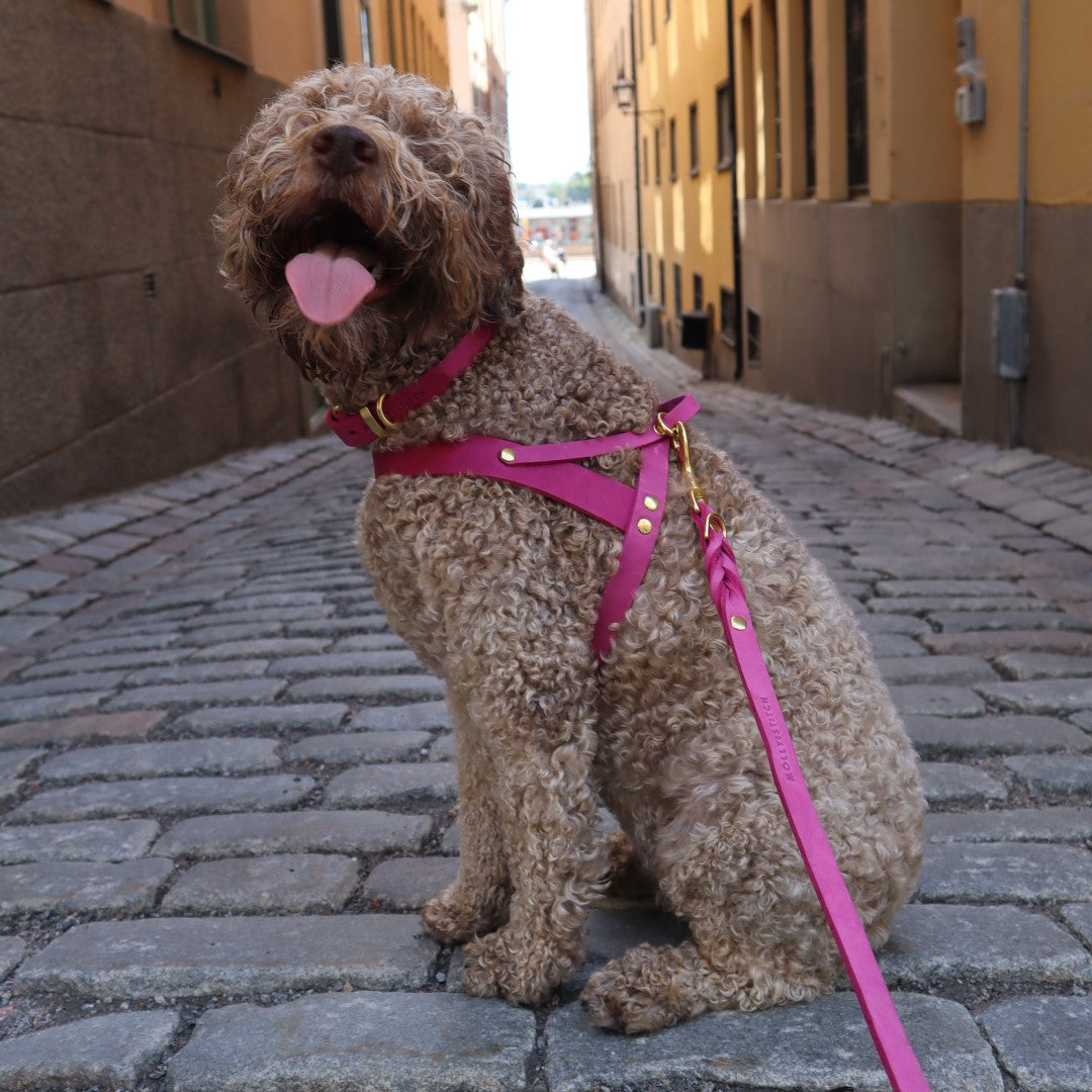 Butter Leather Dog Harness Flamingo Molly and Stitch GmbH