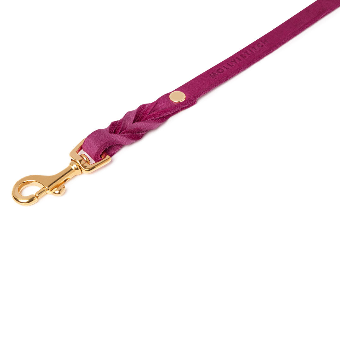 Butter Leather 3x Adjustable Dog Leash - Flamingo