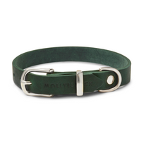 Green leather collar hotsell