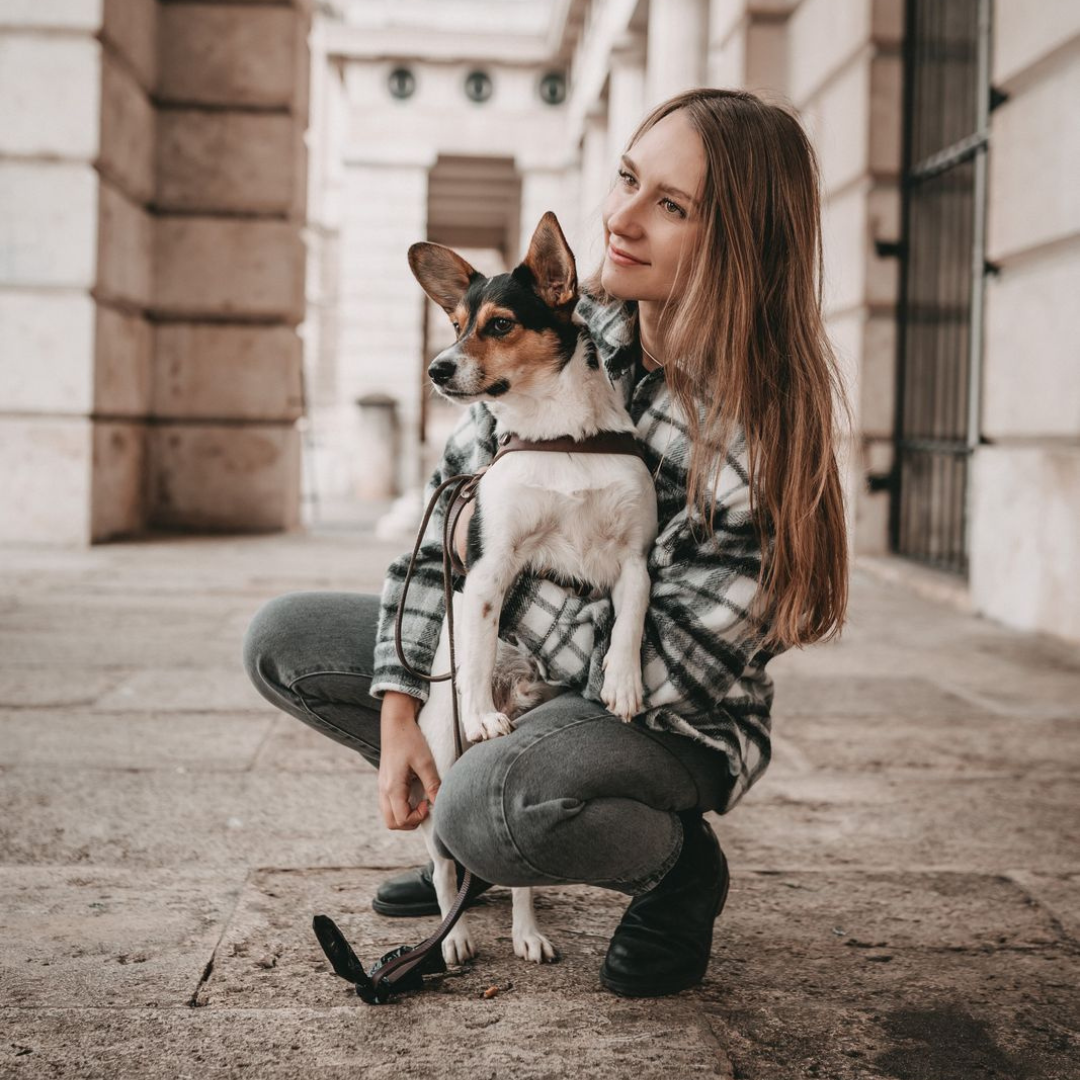 Butter Leather Dog Harness - Classic Brown