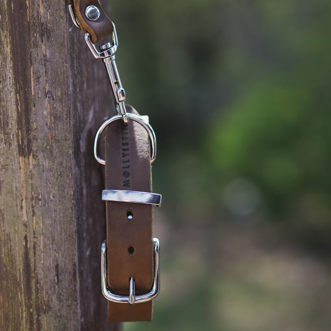 &quot;Butter&quot; Leder Hundehalsband - Klassisch Braun 