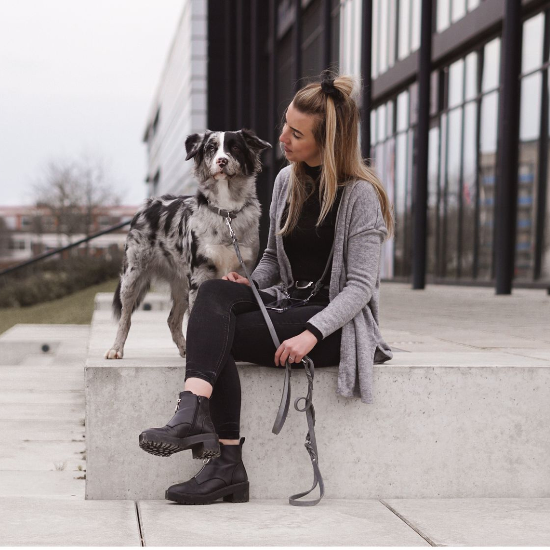 Butter Leather Dog Collar - Timeless Grey