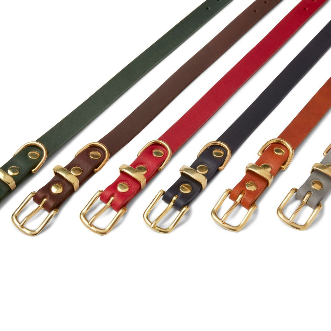 &quot;Butter&quot; Leder Hundehalsband - Sahara Cognac