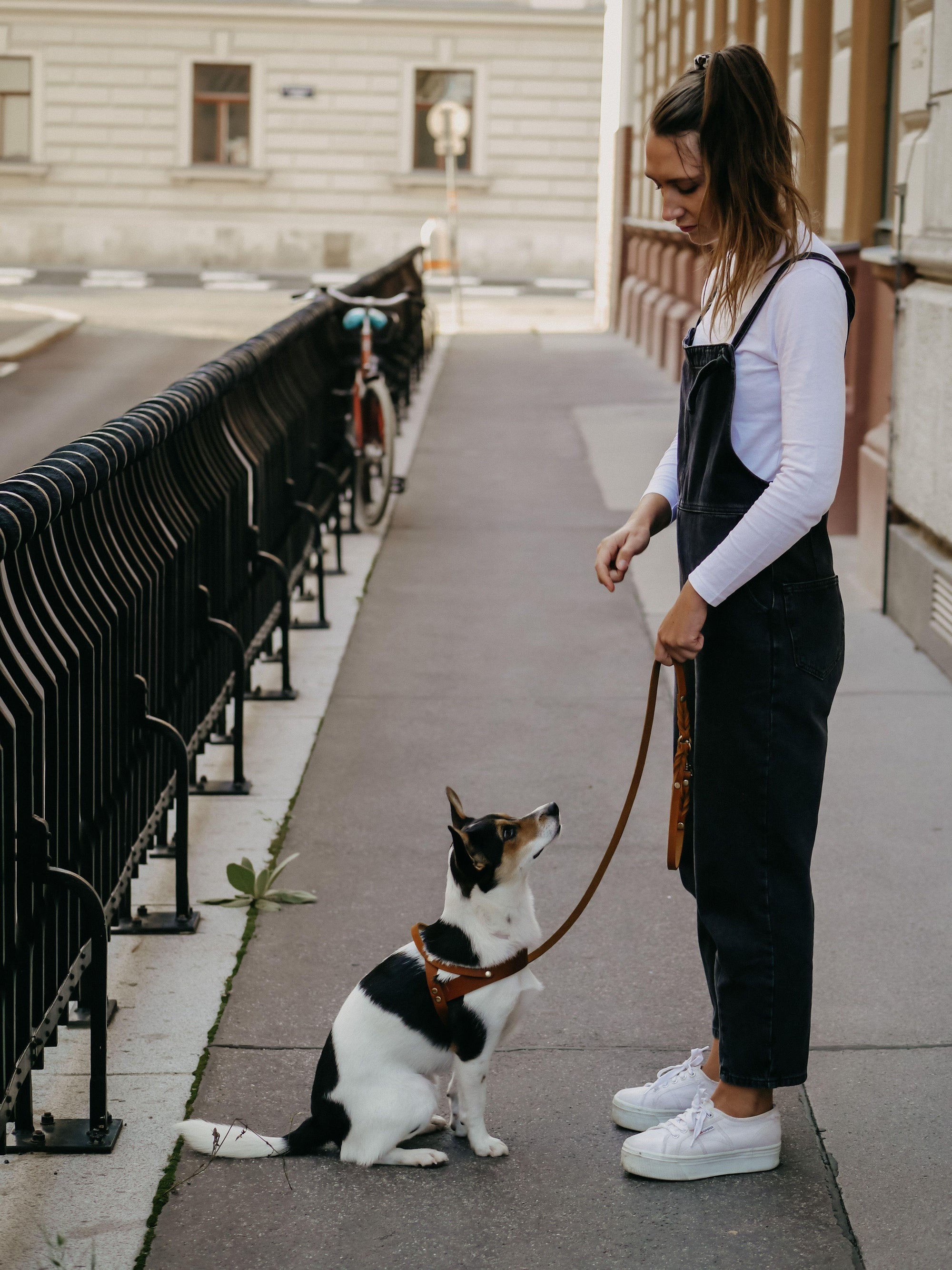 Butter Leather 2x Adjustable Dog Leash - Classic Brown - Molly and Stitch GmbH