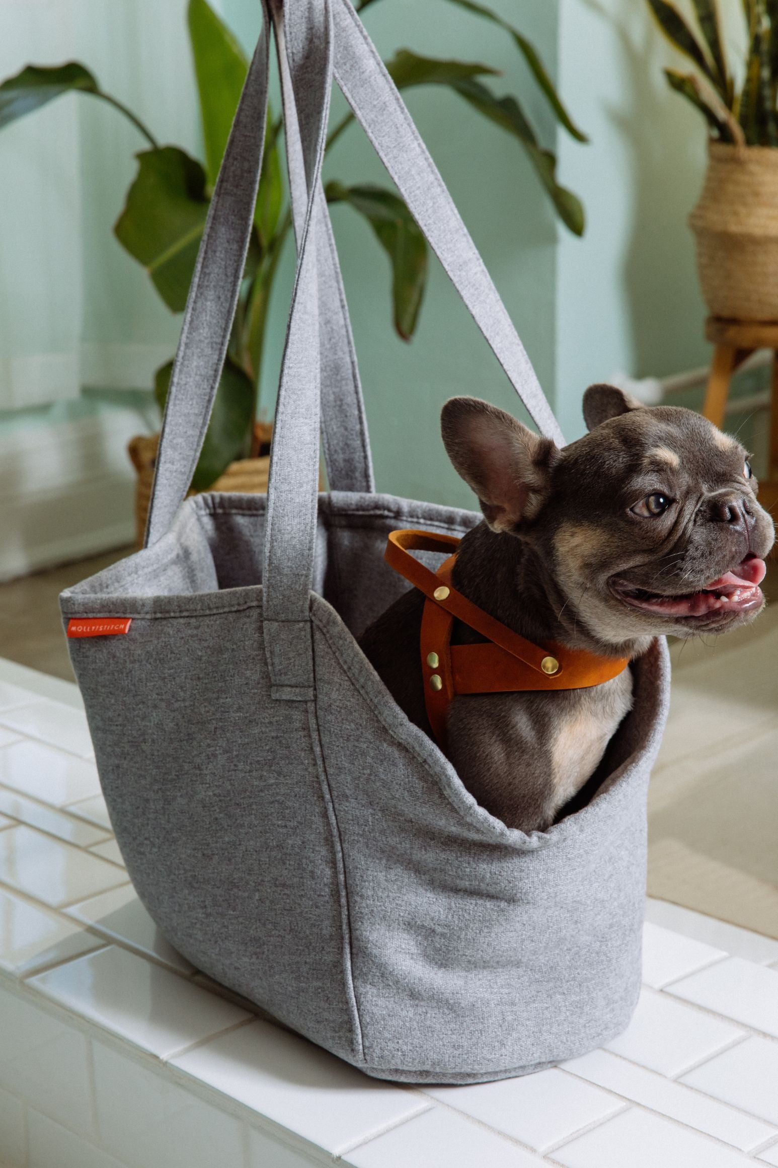 Alpine Hunde Tasche - Grau