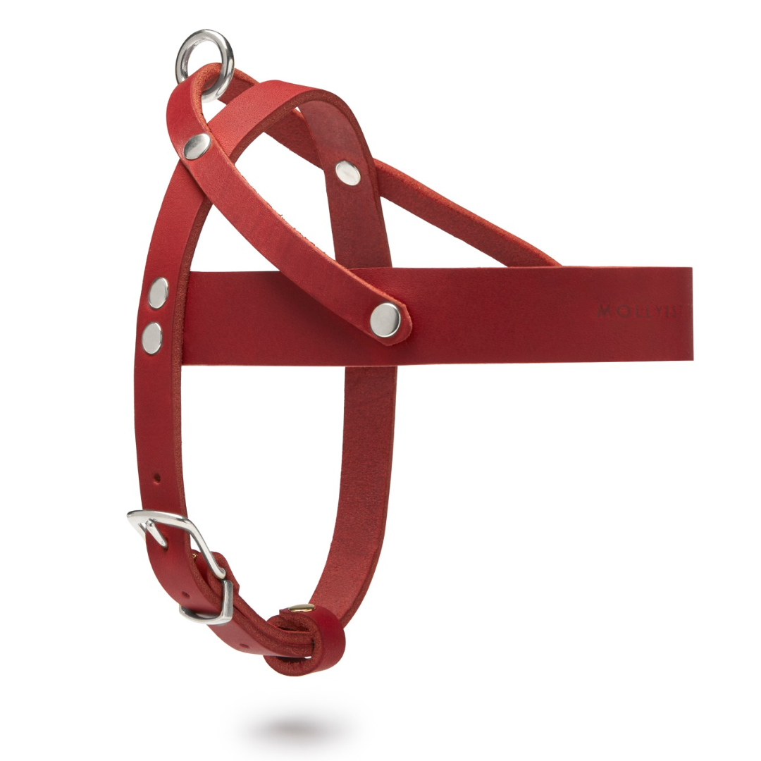 Butter Leather Dog Harness - Chili Red