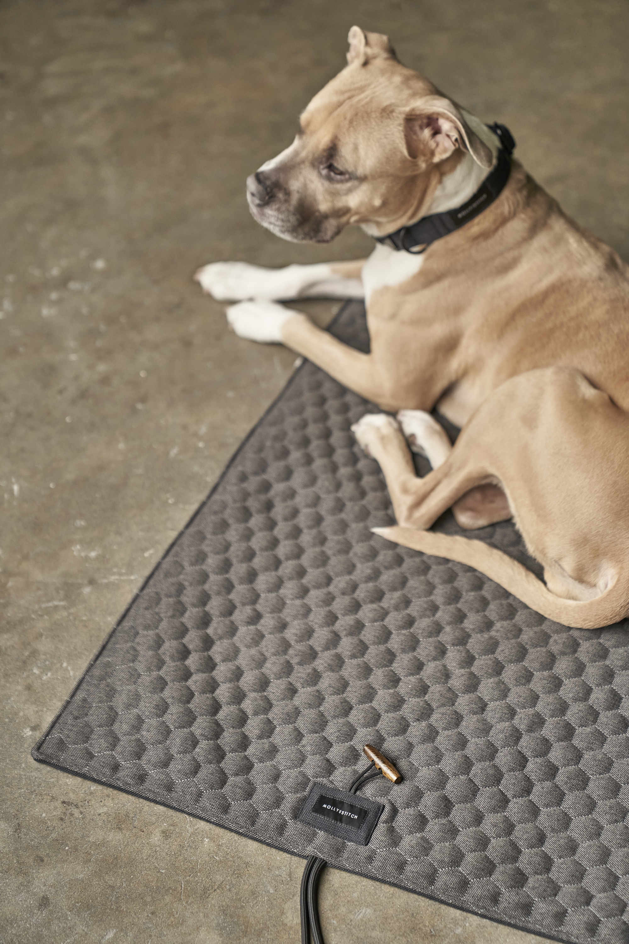 Honeycomb Dog Travel Mat - Grey